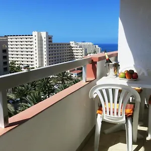 https://in-las-americas-with-amazing-view.in-canary-islands.com